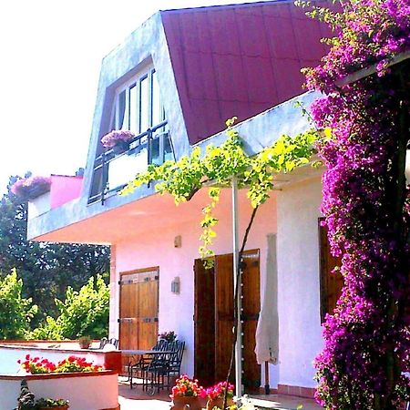 Bed And Breakfast Aloisio San Gregorio di Catania Exterior foto